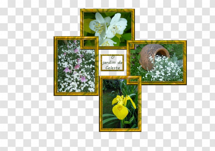 Floral Design Herbalism Picture Frames - Flower Transparent PNG