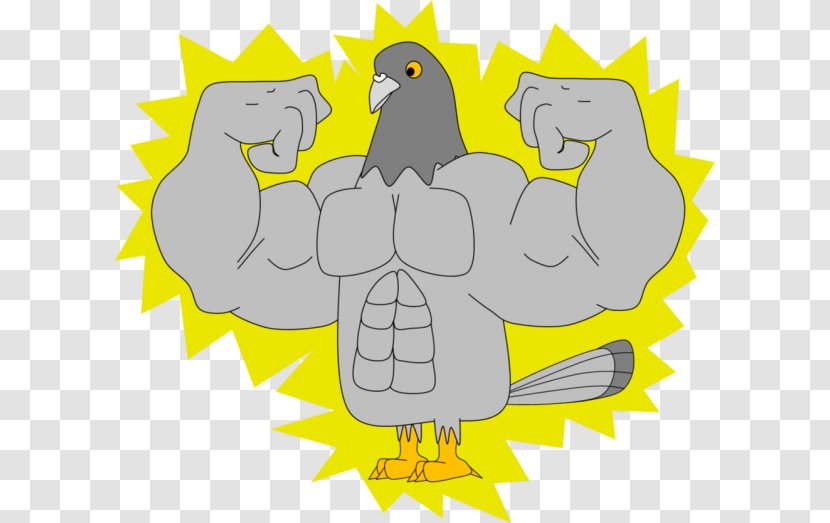 Muscle Bird Anatomy Animal Art - Pigeons 12 0 1 Transparent PNG