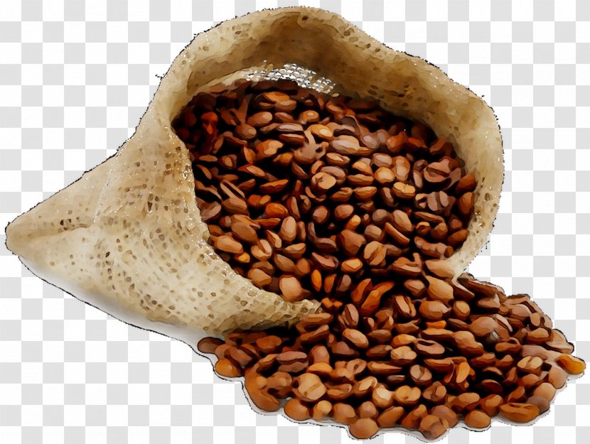 Iced Coffee Cafe Irish Bean - Cuisine - Ingredient Transparent PNG