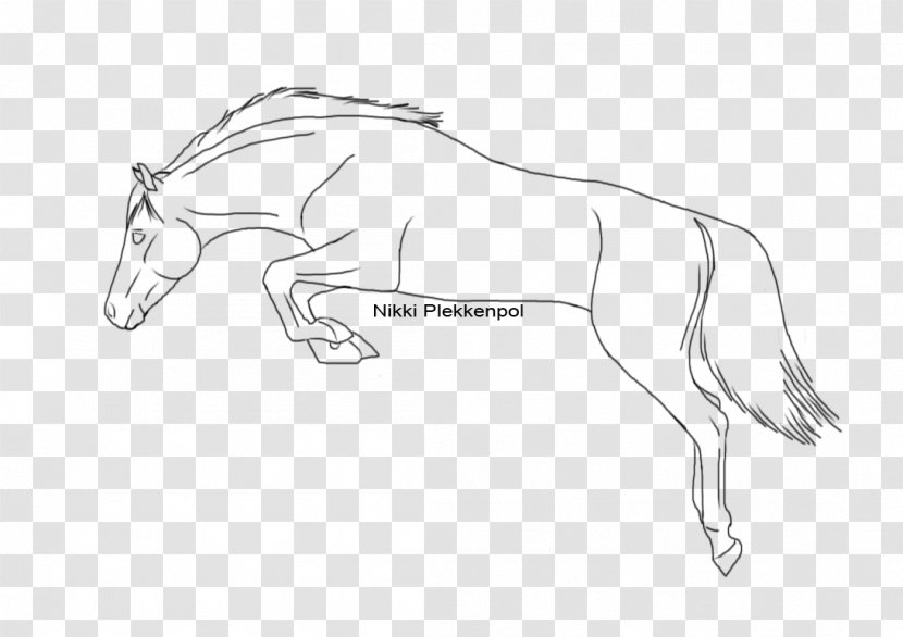 Mustang Drawing Show Jumping How To Draw A Horse - Cartoon - Line Shading Transparent PNG