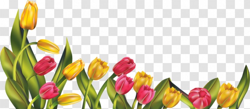 Tulip Flower Clip Art - Pink - Free Spring Borders Transparent PNG