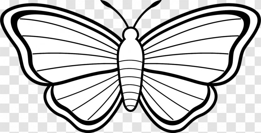 Coloring Book Butterfly Drawing Clip Art - Line Transparent PNG