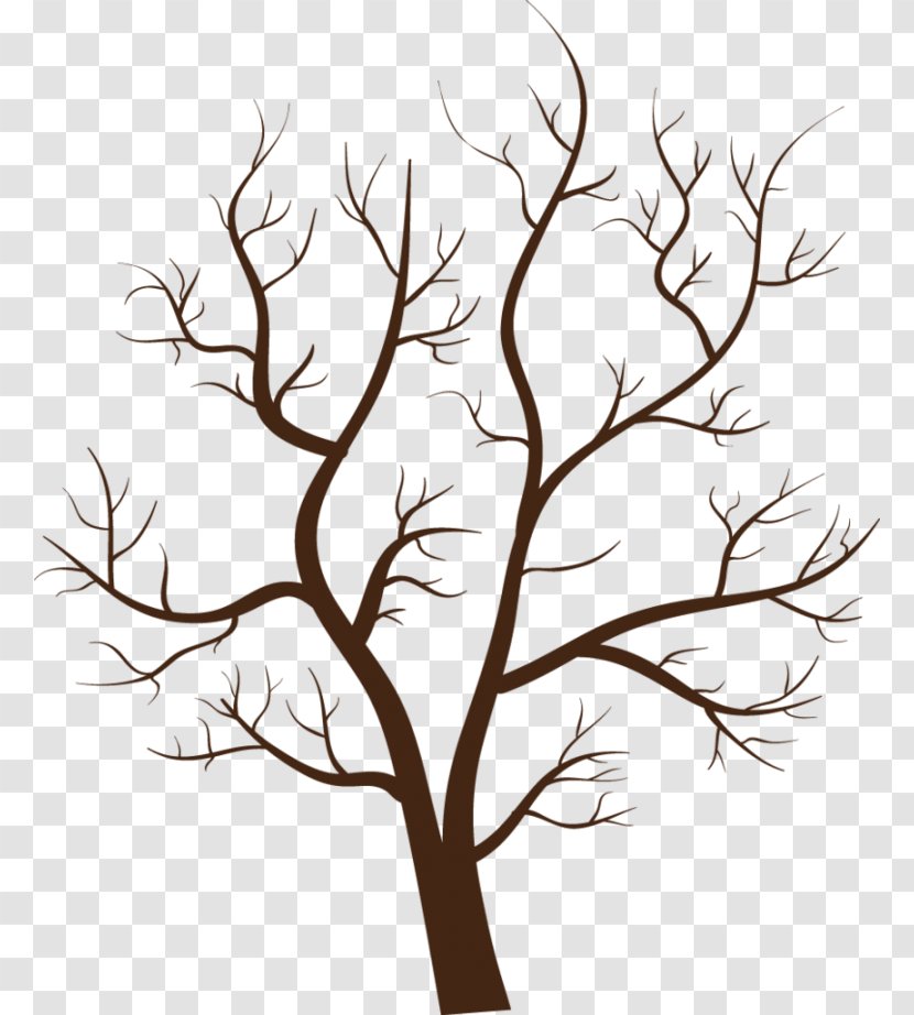 Clip Art Tree Branch Image - Plant Stem Transparent PNG