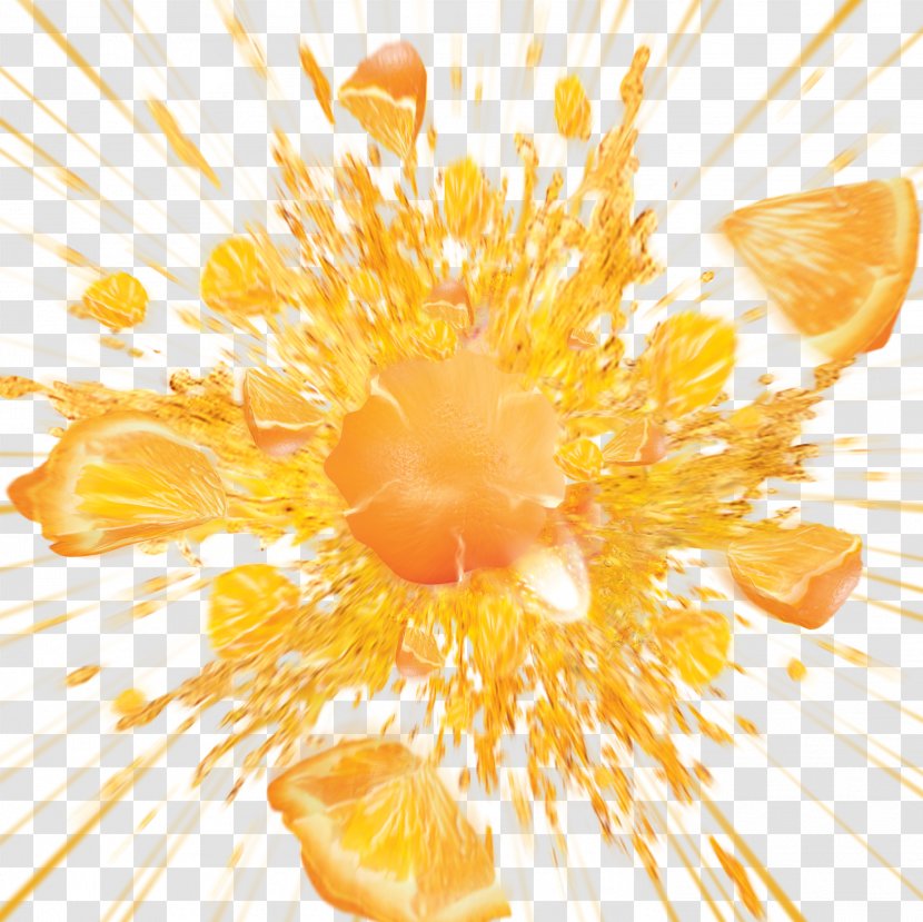 Orange Juice Fruit - Petal Transparent PNG