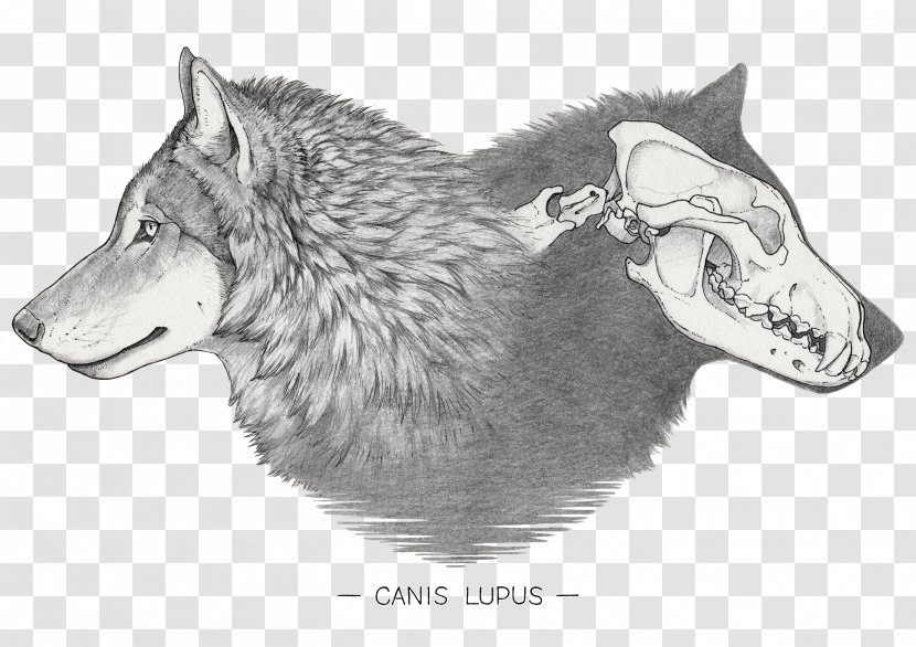 Dog Wolf Artist Hoodie - Like Mammal Transparent PNG