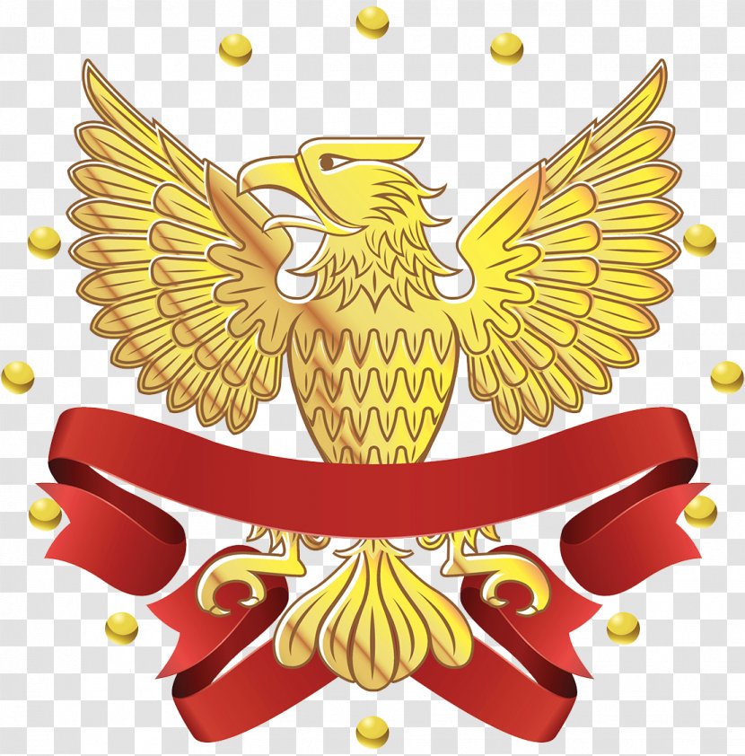 Symbol Golden Eagle Logo Bald - Vertebrate Transparent PNG