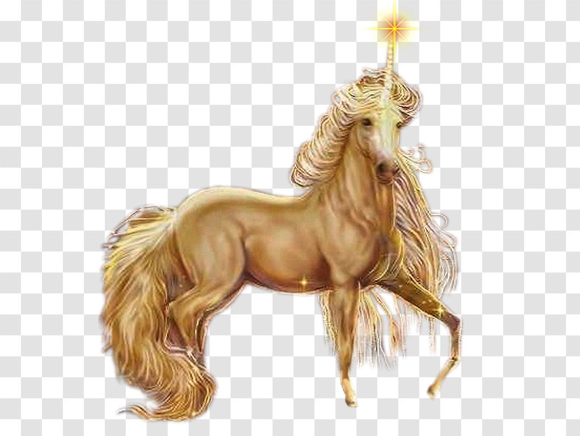 Unicorn Pegasus Horse Fairy Elf - Child Transparent PNG