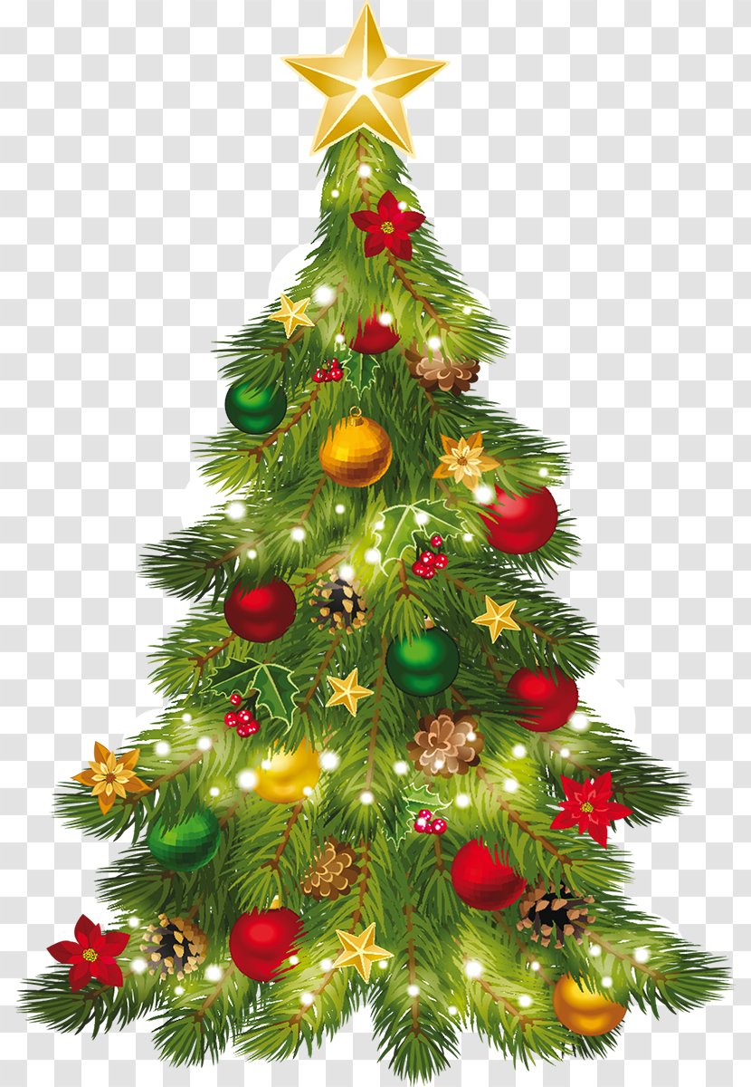 Christmas Tree Clip Art - Evergreen Transparent PNG