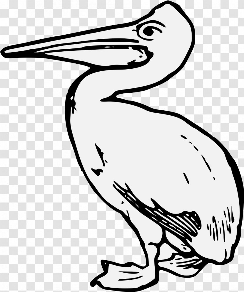 Bird Pelican Beak Pelecaniformes Line Art - Wildlife Seabird Transparent PNG