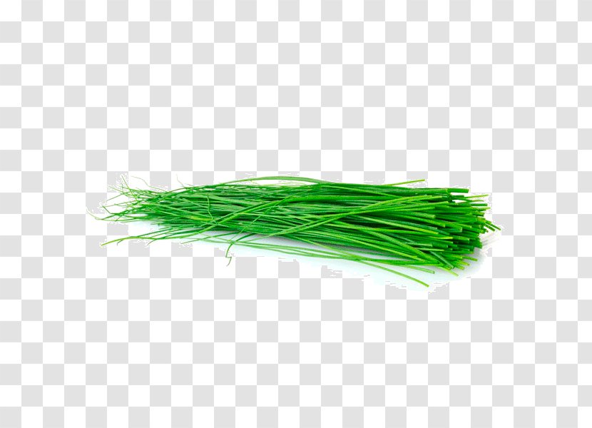 Green - Grass Family - Augardente De Herbas Transparent PNG