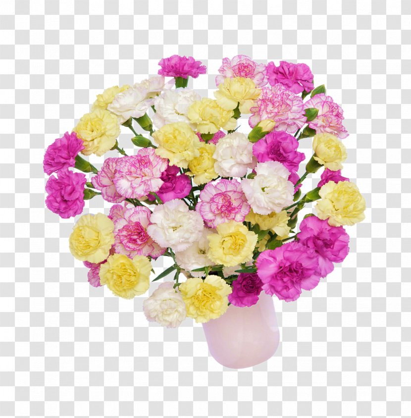 Cut Flowers Floral Design - Flower - CARNATION Transparent PNG