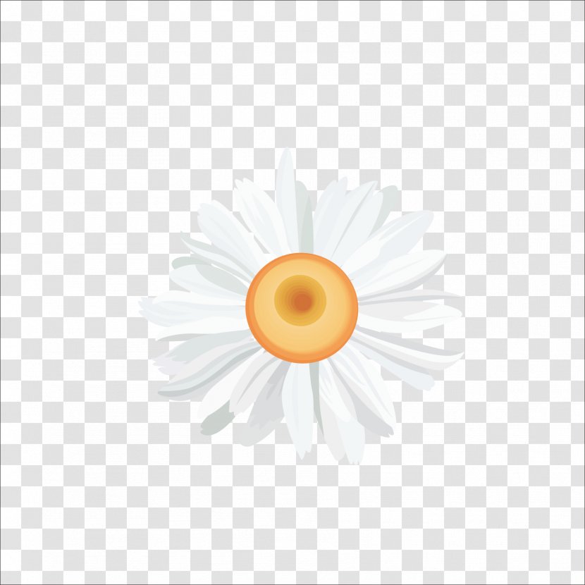 Yellow Circle Pattern - Orange - Chrysanthemum Transparent PNG