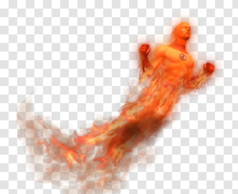 Desktop Wallpaper Close-up Organism Computer - Silhouette - Human Torch Transparent PNG