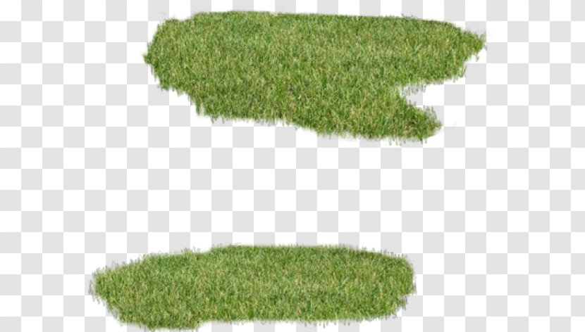 Ray-Ban Wayfarer GIMP Lawn Clothing - Maze Grass Transparent PNG