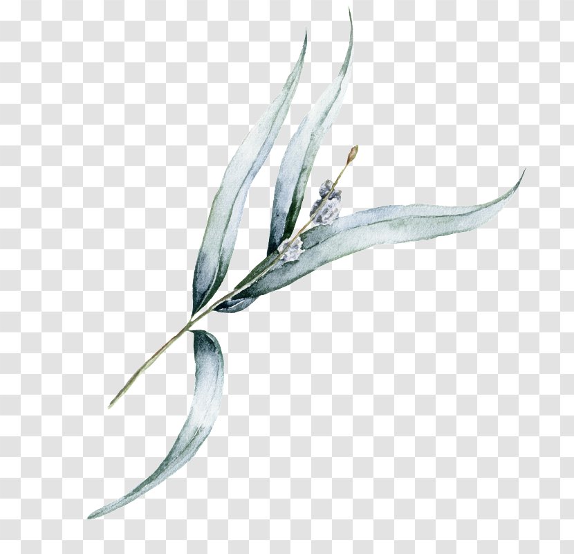 Leaf Plant Fashion Accessory Transparent PNG