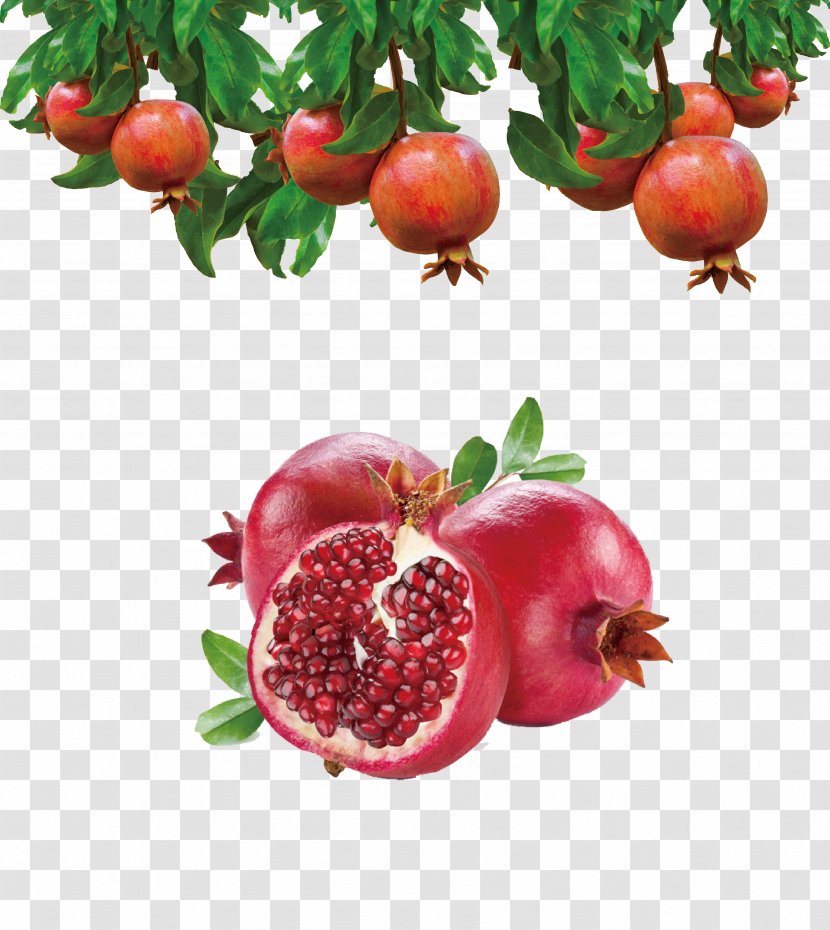 Granada Pomegranate Juice Fruit Food Transparent PNG