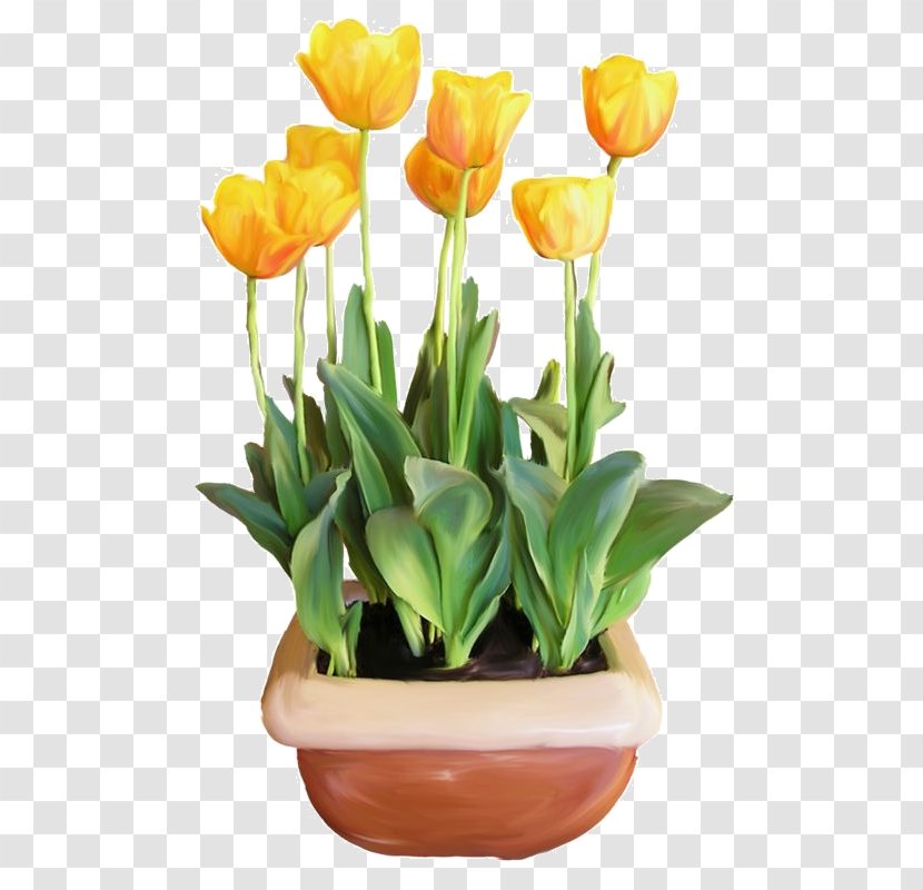 Flower Tulip Euclidean Vector Clip Art - Designer - Golden Tulips Transparent PNG