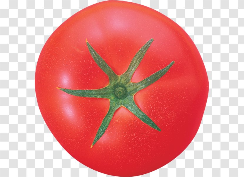 Vegetable Tomato Clip Art Transparent PNG