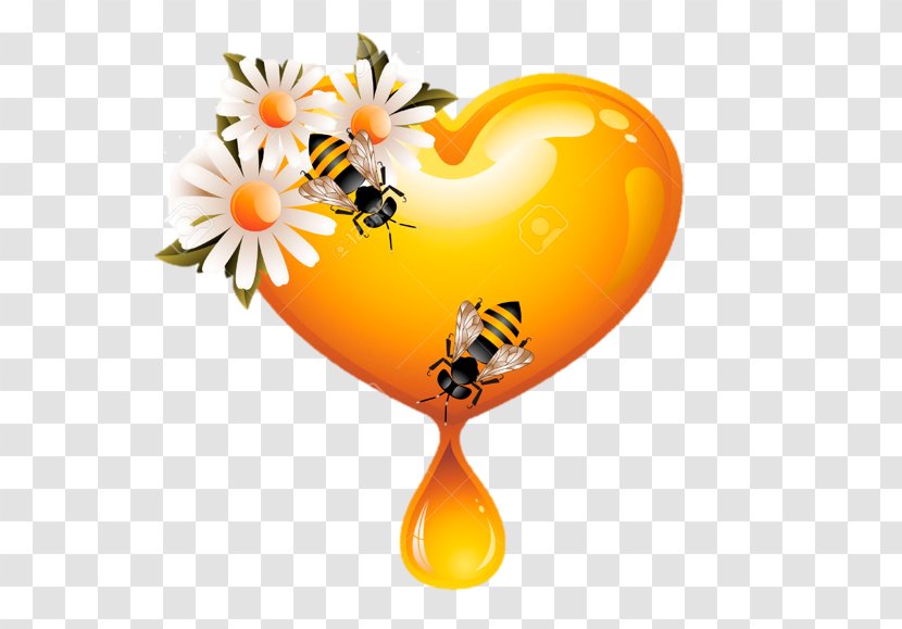 Honey Bee Clip Art - Love Hearts Transparent PNG