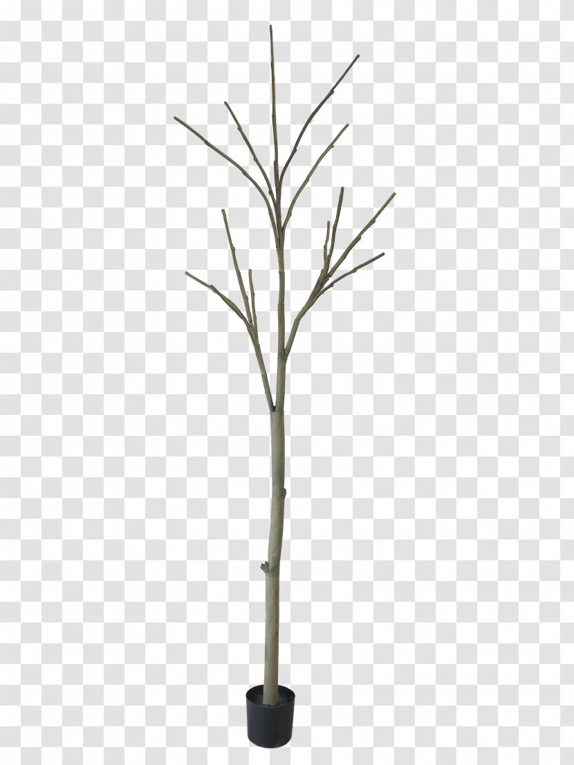 Plant Stem Blossom Leaf Online Shopping - Tree - D Van Hoff Ontwerper Transparent PNG