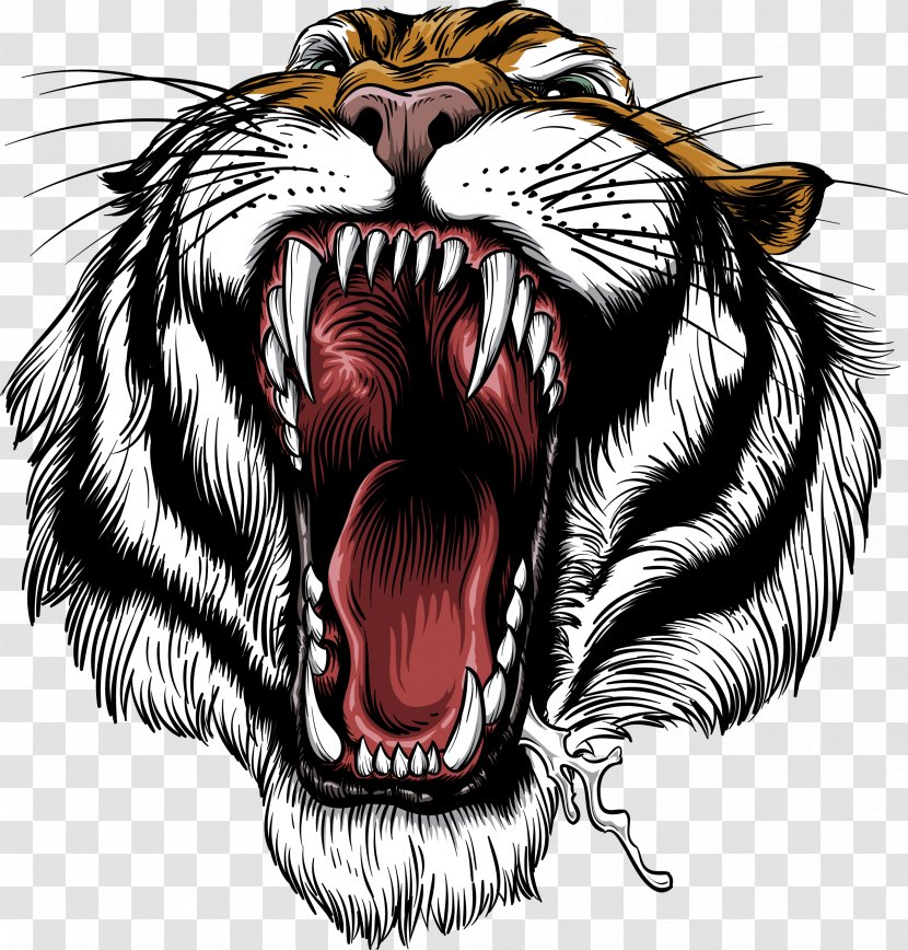 Siberian Tiger Roar Lion Leopard Bengal - Cartoon - Open Mouth Of The Transparent PNG