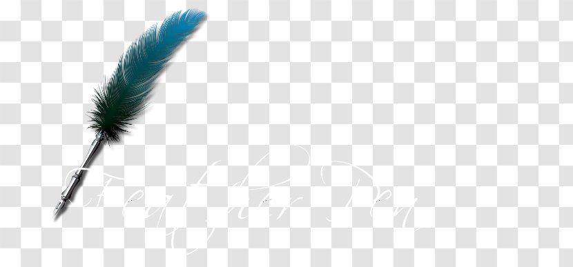 Feather Quill Wing AT&T - Glasses - Pen Transparent PNG