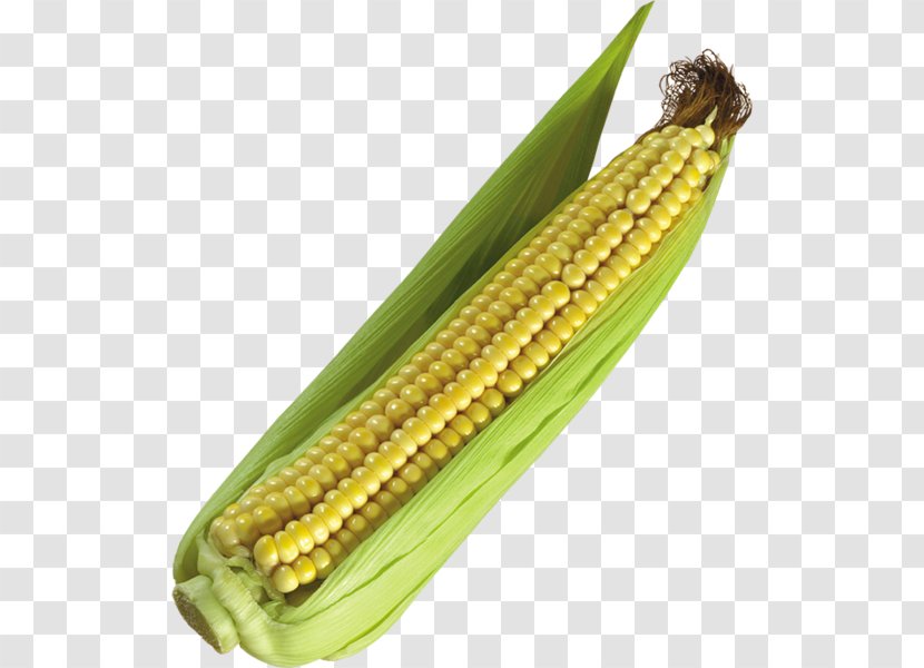 Corn On The Cob Clip Art Sweet GIF - Food - Kernel Icon Transparent PNG