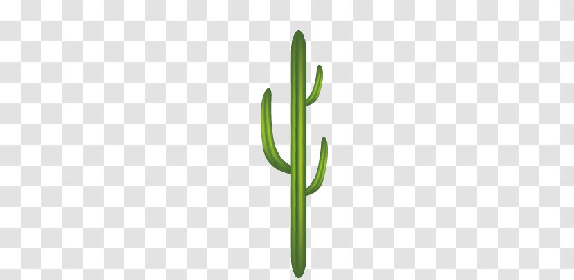 Logo Pattern - Rectangle - Cactus Transparent PNG