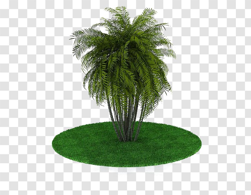 3D Computer Graphics Modeling Tree Autodesk 3ds Max Download - Texture Mapping - Palm Transparent PNG