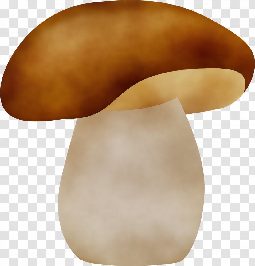Mushroom Edible Pleurotus Eryngii Neck Champignon - Penny Bun Transparent PNG