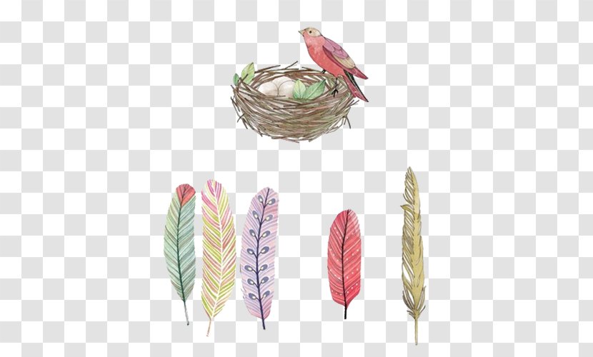 Bird Feather Nest Egg - Gratis - And Feathers Transparent PNG