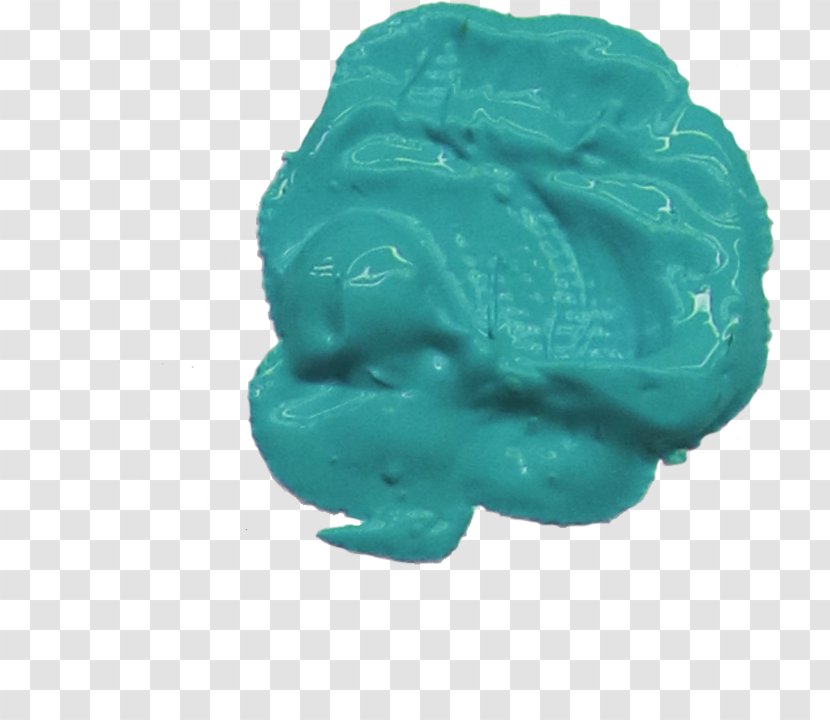 Turquoise Organism Transparent PNG