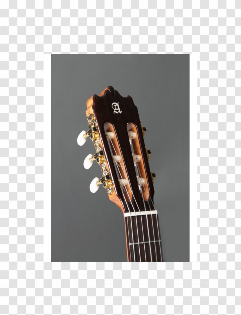 Alhambra Acoustic Guitar Classical Iberia - Tree Transparent PNG