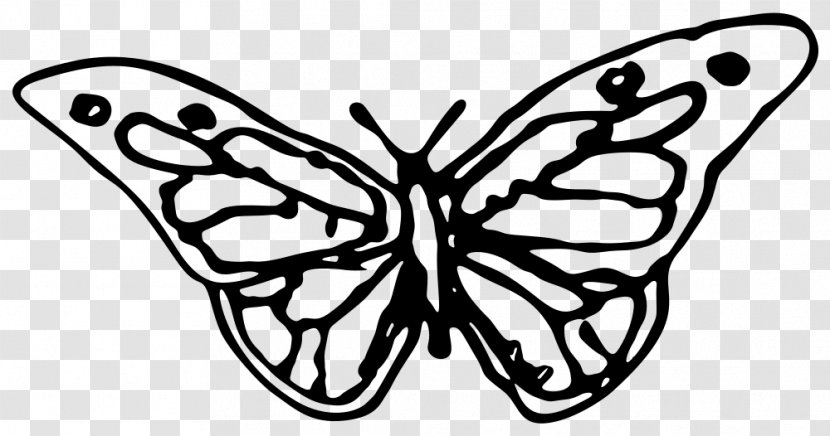 Butterfly Clip Art Vector Graphics Drawing - Monarch - Butterflies Transparent PNG