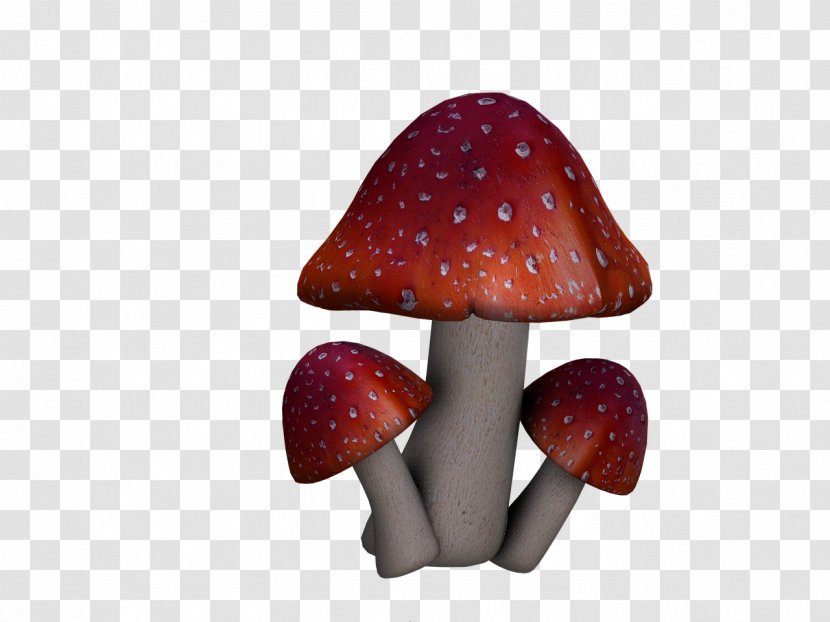 Edible Mushroom Amanita Muscaria Fungus Boletus Edulis - Puffball - Mushrooms Transparent PNG