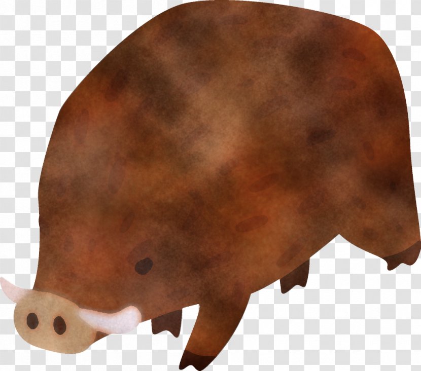 Brown Snout Boar Suidae Grizzly Bear Transparent PNG