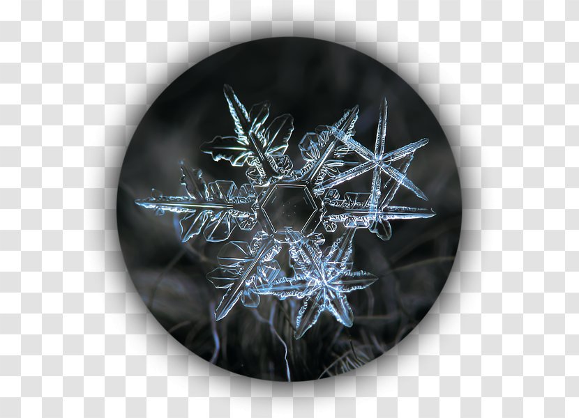 Snowflake Photography Crystal Image - Ice - Clearance Sale 0 1 Transparent PNG