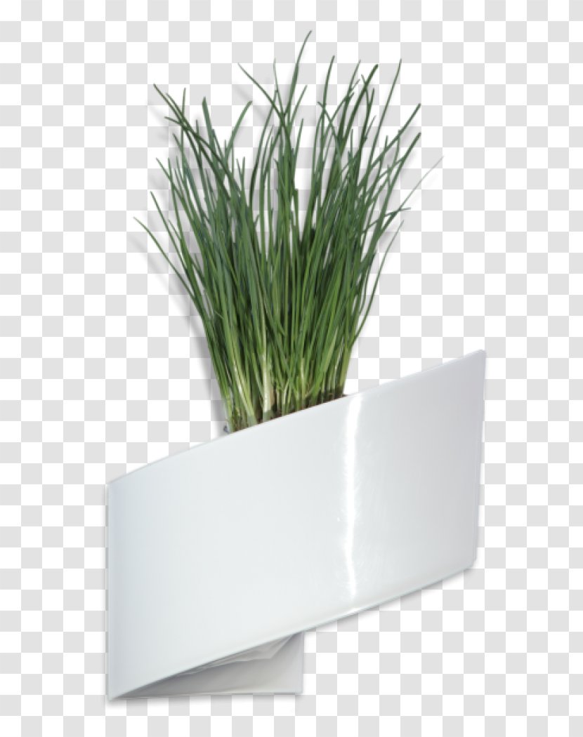 Flowerpot Houseplant Crock Flower Box Furniture - Design Transparent PNG