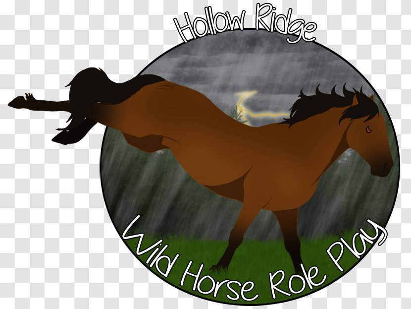 Mustang Freikörperkultur Beak Tail Horse - Mane Transparent PNG