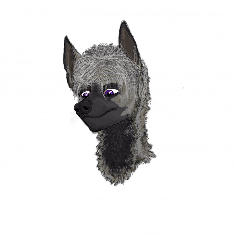 Cairn Terrier Dog Breed Canidae Snout Pet - Animal - Hyena Transparent PNG