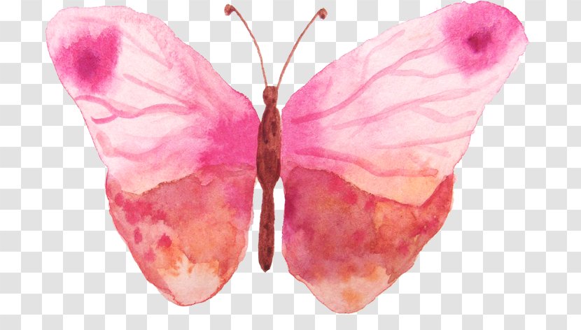 Butterfly Watercolor Painting - Pink Transparent PNG
