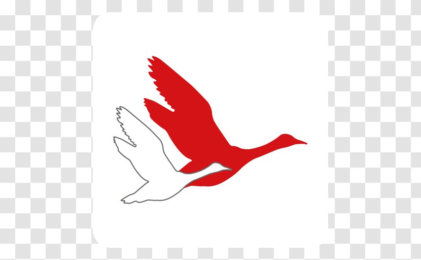 Facebook Falster North Sea Goose Like Button - Henne Strand - Red Transparent PNG