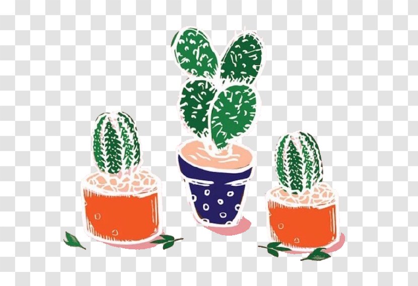 Cactaceae Plant Illustration - Cartoon - Cactus Plants Transparent PNG