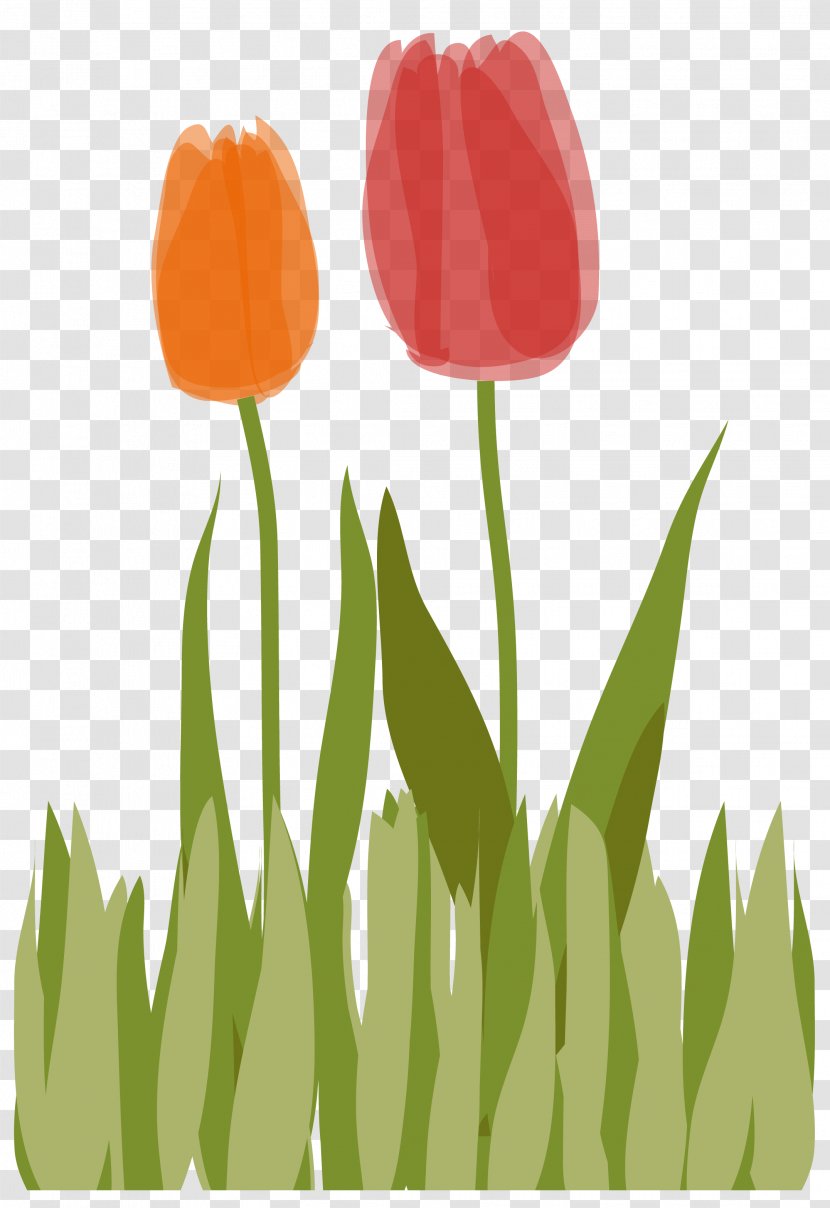 Tulip Clip Art Illustration Plant Stem Petal - Lawn - Grass Transparent PNG