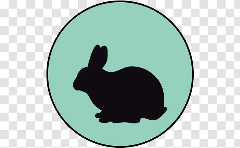 Domestic Rabbit Hare Vector Graphics Easter Bunny - Fauna - Anxious Dogs Grooming Transparent PNG