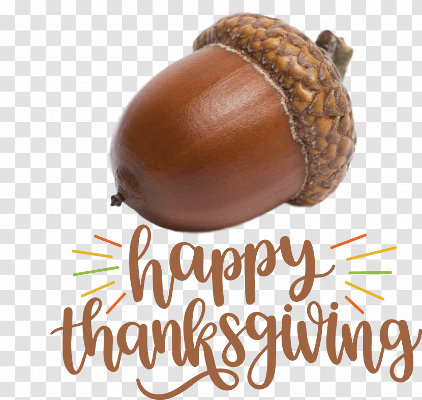 Happy Thanksgiving Thanksgiving Day Thanksgiving Transparent PNG