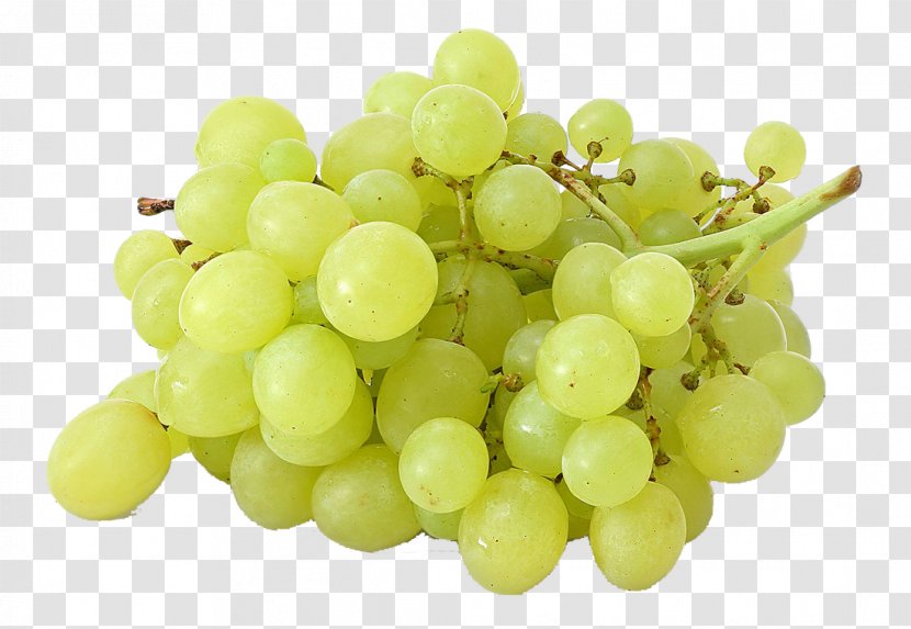 Sultana Common Grape Vine Juice Concord - Grapevine Family Transparent PNG