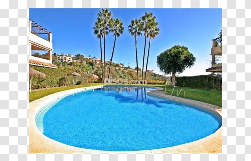 Swimming Pool Majorelle Blue Garden Property Water Resources - Vacation Transparent PNG