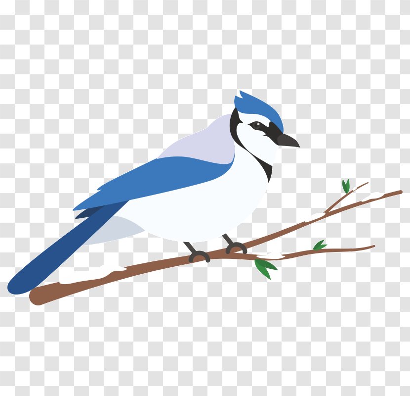 Blue Jay Wren Feather Beak Clip Art - Roller Transparent PNG