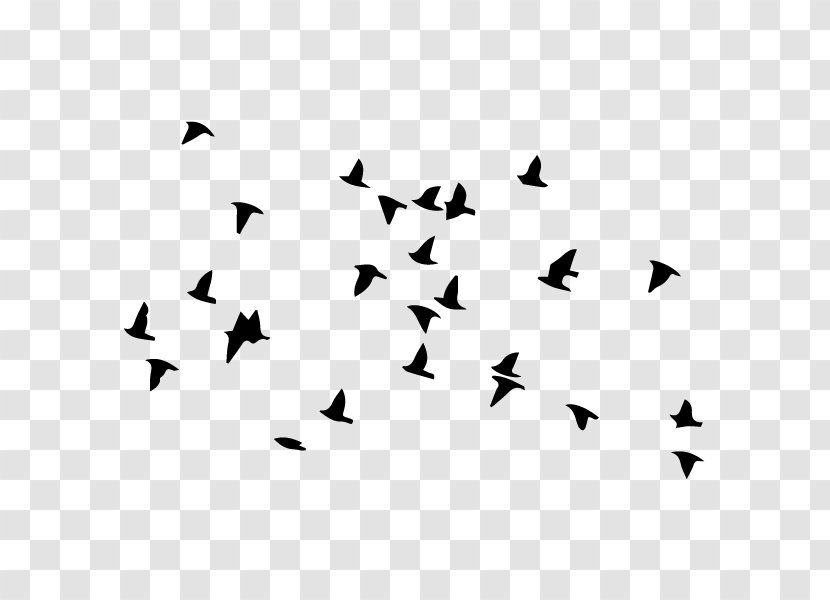 Bird Flight Flock Wall Decal Clip Art Transparent PNG